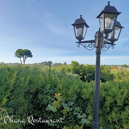 Séjour à la ferme B&B Ohana Restaurant Partinico